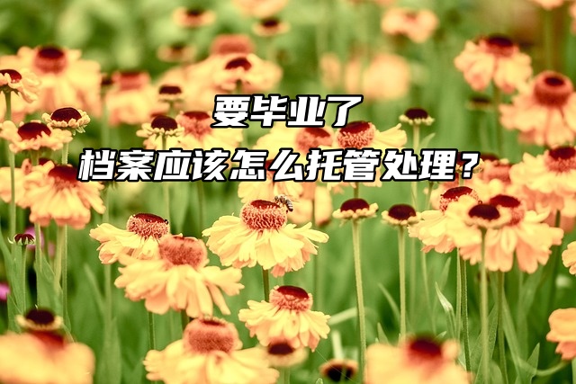 要毕业了，档案应该怎么托管处理？