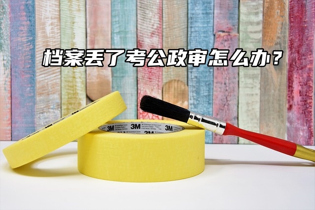 档案丢了考公政审怎么办？这份指南助你化解危机！