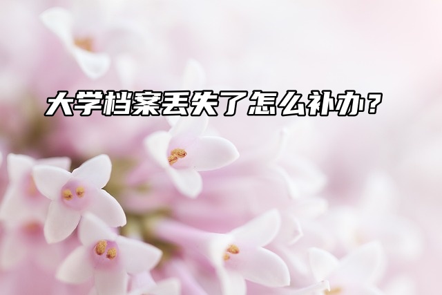 补办流程来了！大学档案丢失了怎么补办？