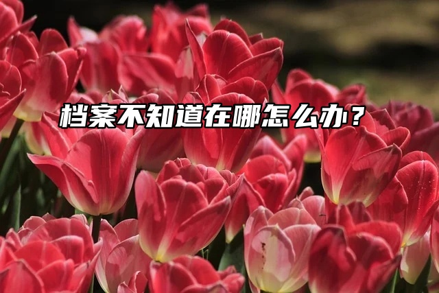 档案问题大全：档案不知道在哪怎么办？