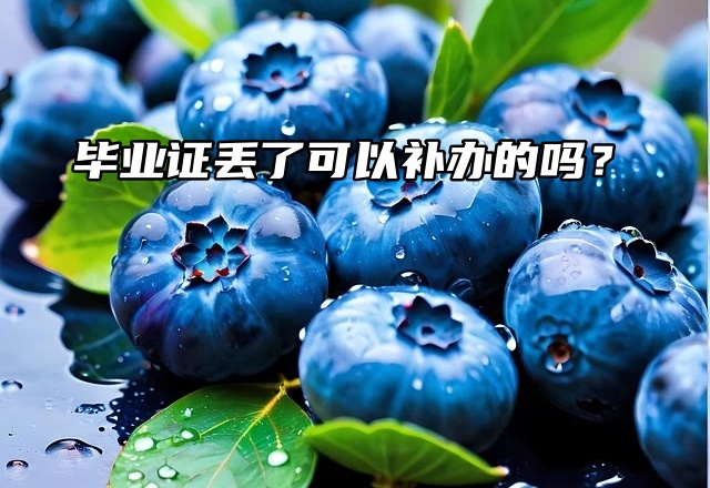 办理流程来了！毕业证丢了可以补办的吗？