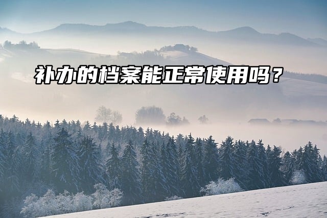 别糊涂了！补办的档案能正常使用吗？