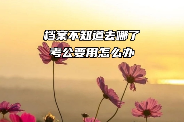 档案不知道去哪了，考公要用怎么办？