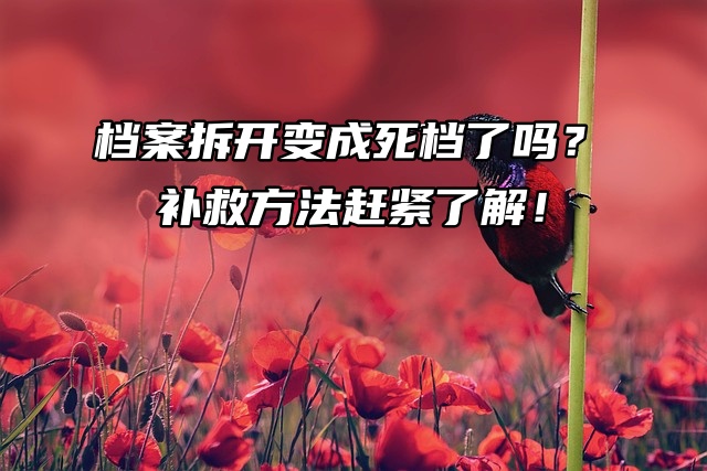 档案拆开变成死档了吗？ 补救方法赶紧了解！