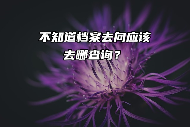 调档，不知道档案去向应该去哪查询？