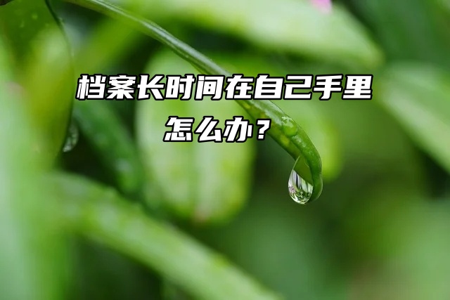 怎么激活？档案长时间在自己手里怎么办？