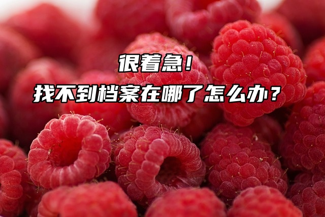 很着急！找不到档案在哪了怎么办？