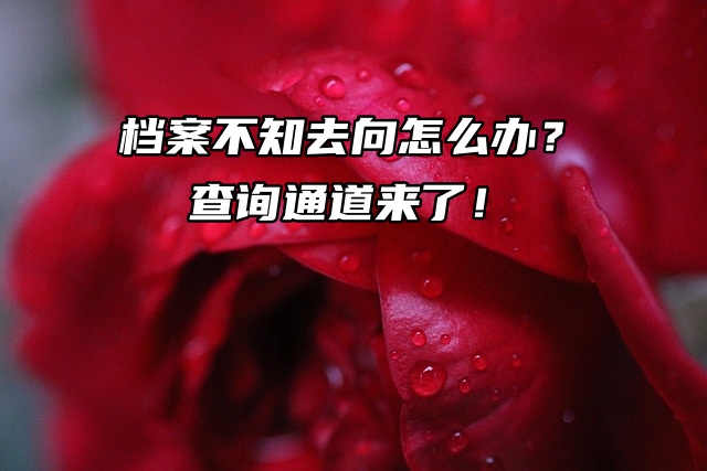 档案不知去向怎么办？查询通道来了！