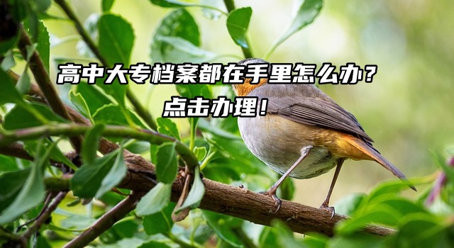 高中大专档案都在手里怎么办？点击办理！