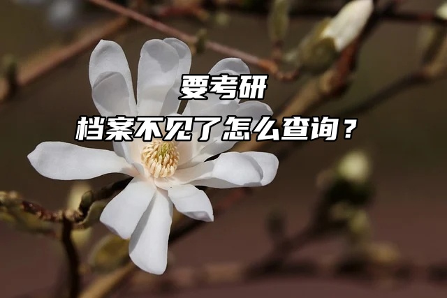 要考研，档案不见了怎么查询？速看此篇文章！