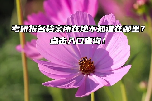 考研报名档案所在地不知道在哪里？点击入口查询！