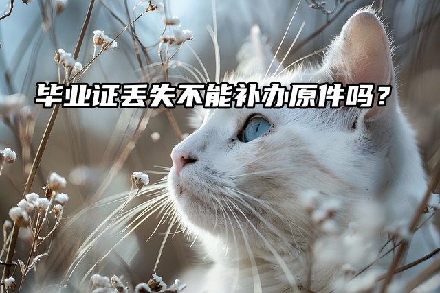 大家都在问：毕业证丢失不能补办原件吗？