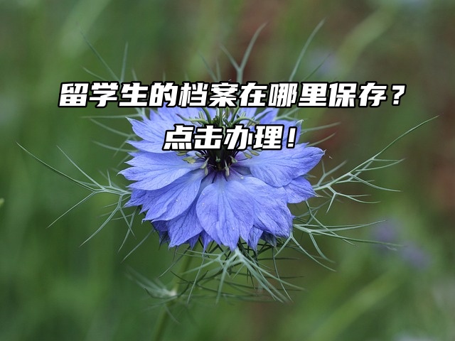 留学生的档案在哪里保存？点击办理！