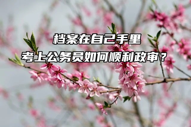 档案在自己手里，考上公务员如何顺利政审？