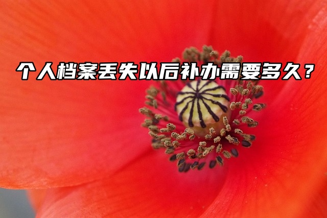 个人档案丢失以后补办需要多久？急急急!