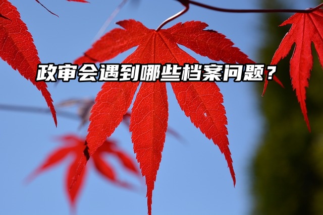 档案问题一览：政审会遇到哪些档案问题？