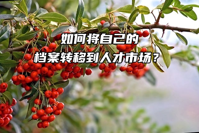 如何将自己的档案转移到人才市场？