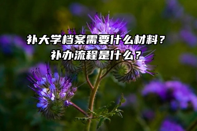 补大学档案需要什么材料？补办流程是什么？