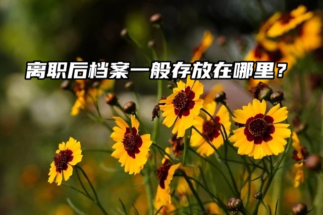 离职后档案一般存放在哪里？一起看看吧！