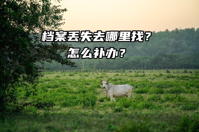 档案丢失去哪里找？怎么补办？