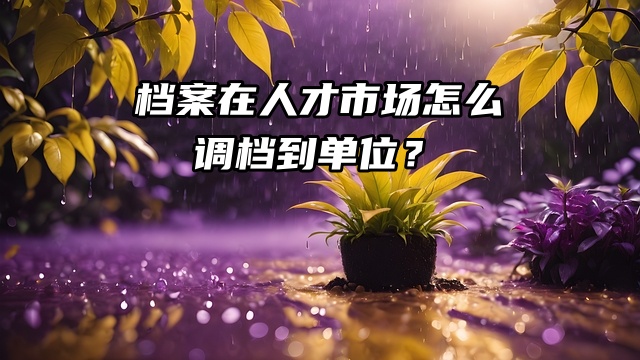 调档须知：档案在人才市场怎么调档到单位？