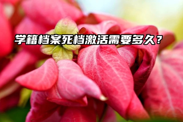 激活问题：学籍档案死档激活需要多久？
