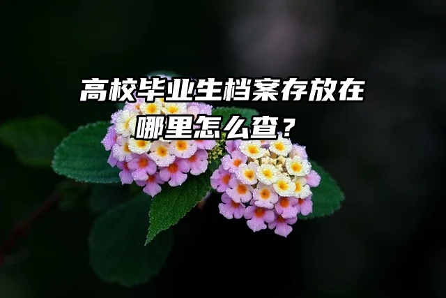 查询“通道”来了：高校毕业生档案存放在哪里怎么查？