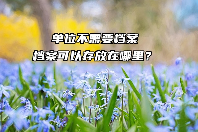 公司不需要档案，档案可以存放在哪里？