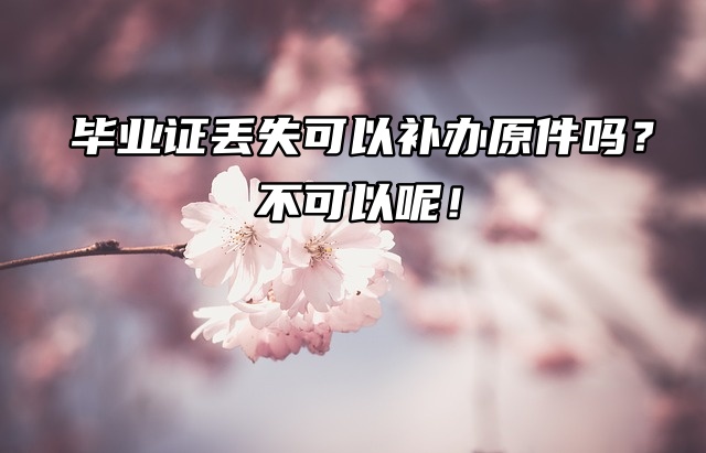 毕业证丢失可以补办原件吗？不可以呢！