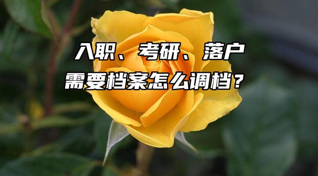 入职、考研、落户需要档案怎么调档？