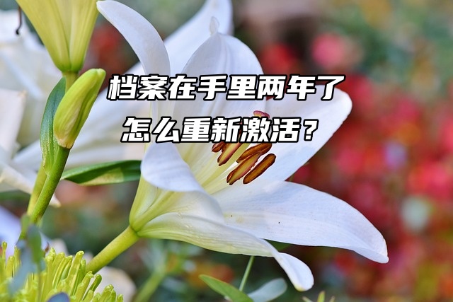 档案在手里两年了怎么重新激活？死档激活看这篇！