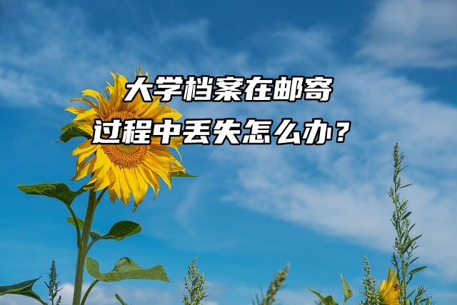天啊！大学档案在邮寄过程中丢失怎么办？