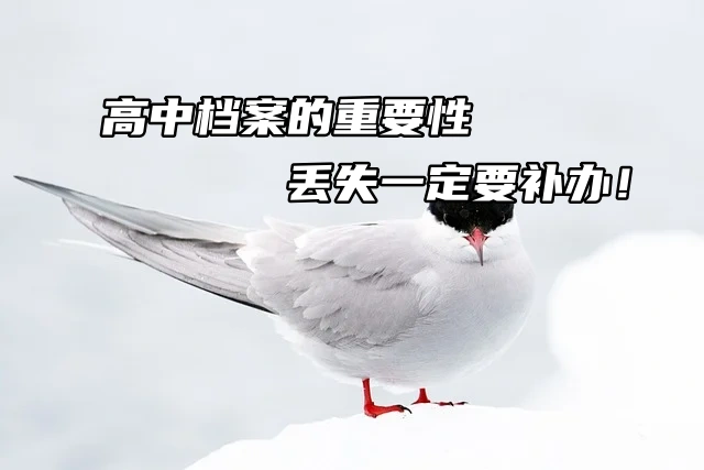 高中档案的重要性，丢失一定要补办！