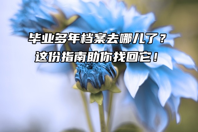 毕业多年档案去哪儿了？这份指南助你找回它！