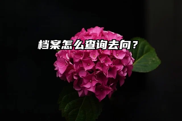 档案查询“入口”：档案怎么查询去向？