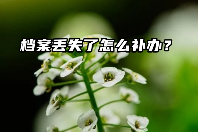 政审调档，发现档案资料不全怎么补办？