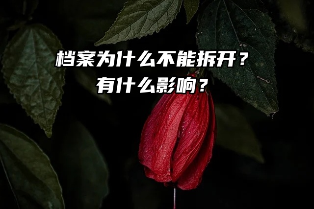 毕业生注意：档案为什么不能拆开？有什么影响？
