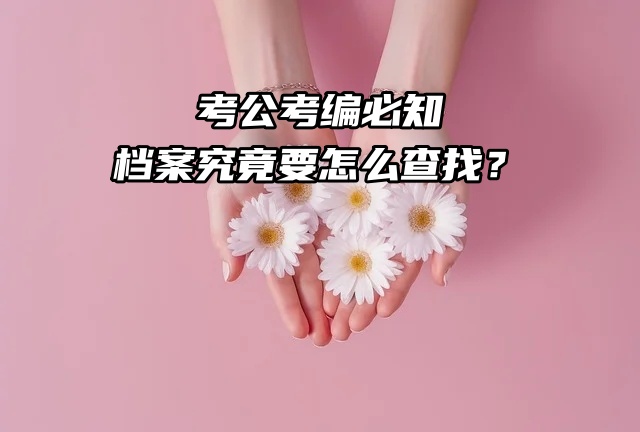 考公考编必知：档案究竟要怎么查找？