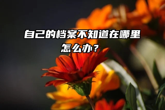 全国档案查询：自己的档案不知道在哪里怎么办？
