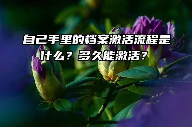 自己手里的档案激活流程是什么？多久能激活？