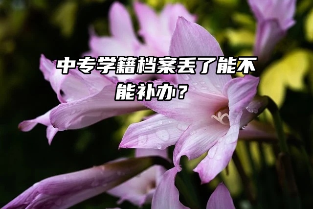 着急！！！中专学籍档案丢了能不能补办？