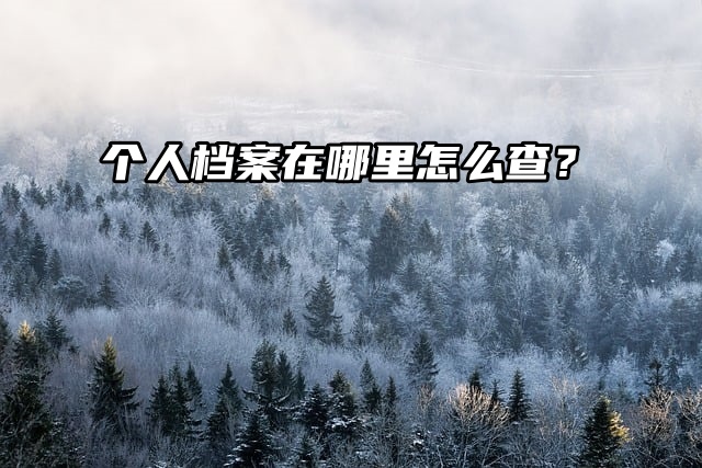 查档流程来了！个人档案在哪里怎么查？