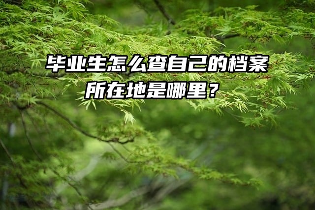 毕业生怎么查自己的档案所在地是哪里？