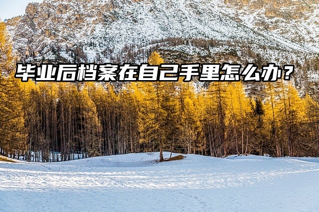 如何托管：毕业后档案在自己手里怎么办？