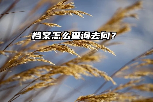 查档流程一览！档案怎么查询去向？