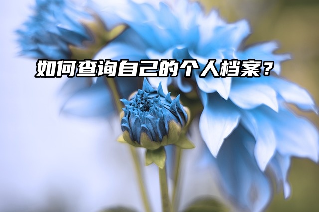如何查询自己的个人档案？