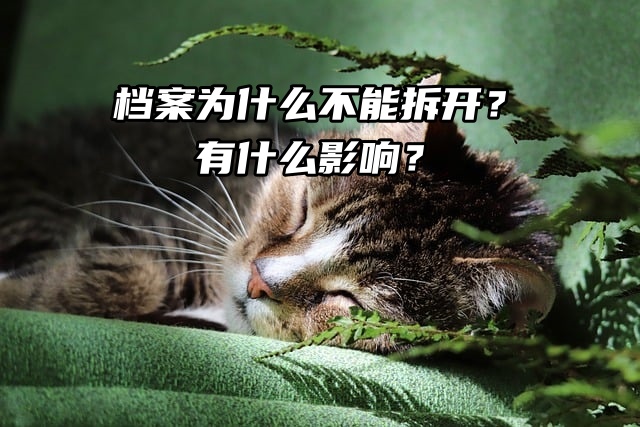 毕业生注意：档案为什么不能拆开？有什么影响？