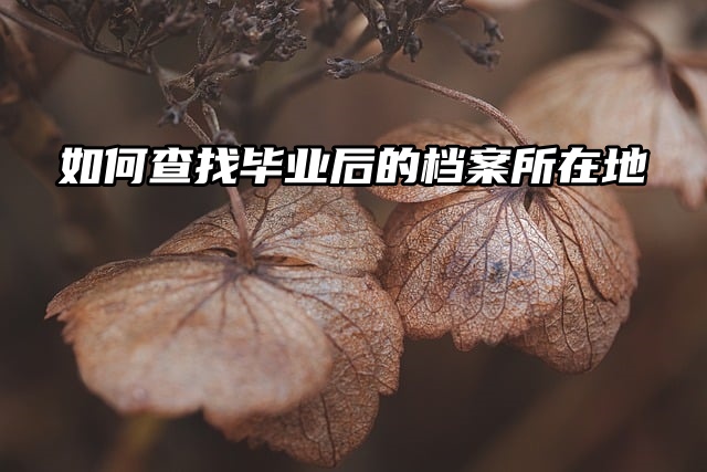 如何查找毕业后的档案所在地？