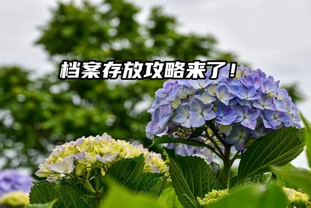 毕业季！毕业生必看档案存放攻略来了！