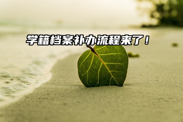 知识分享：学籍档案补办流程来了！